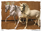 Cobra halter and collars for model horses made by Jana Skybova